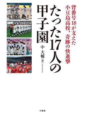 cover image of たった１７人の甲子園